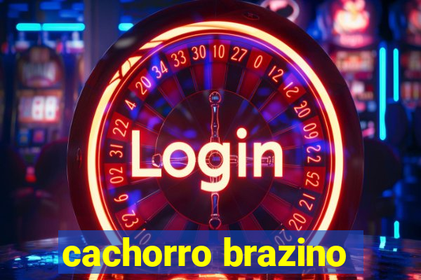 cachorro brazino